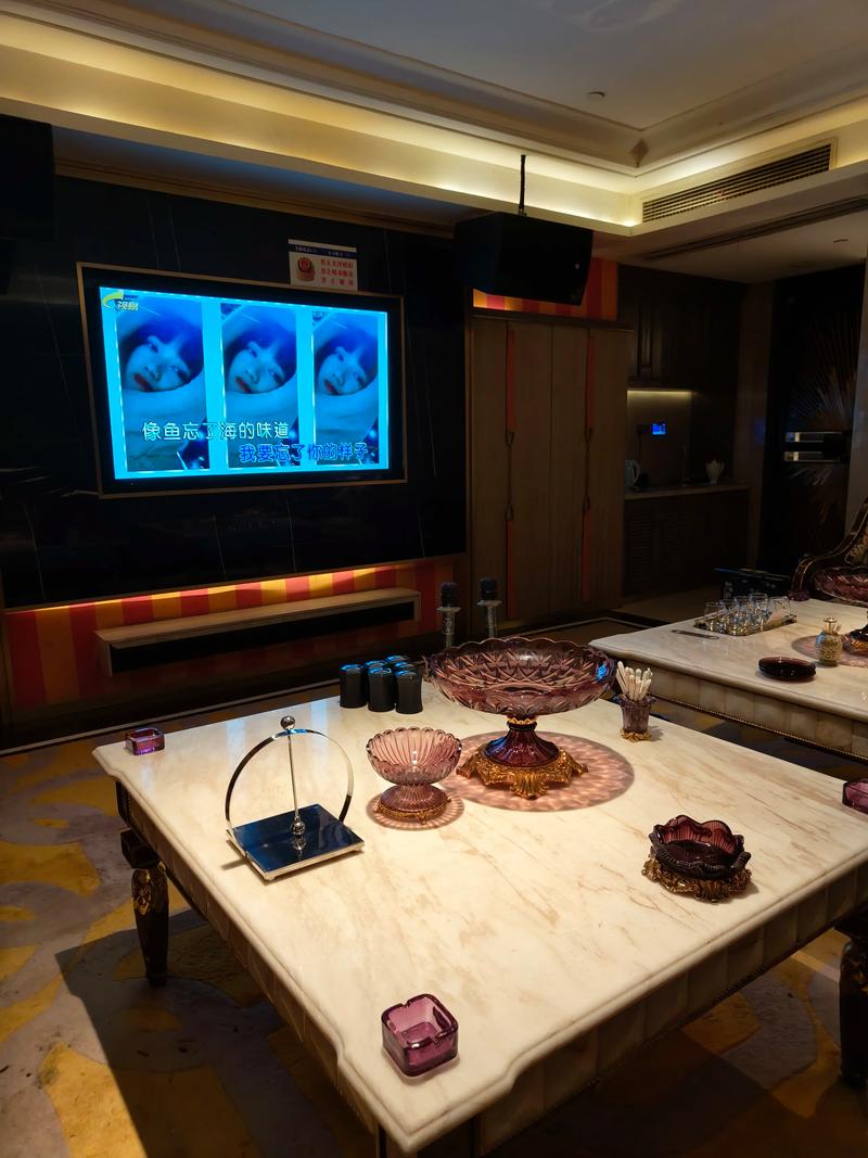 南充商务ktv商务ktv预订优选-高坪区ktv预订